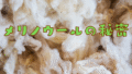「通年で快適なメリノウールのヒミツ」