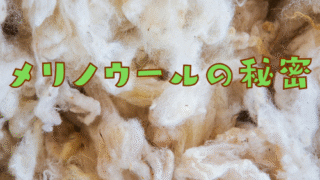「通年で快適なメリノウールのヒミツ」