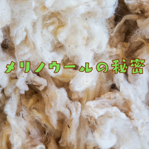 「通年で快適なメリノウールのヒミツ」